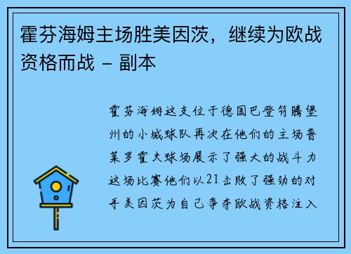 霍芬海姆主场胜美因茨，继续为欧战资格而战 - 副本