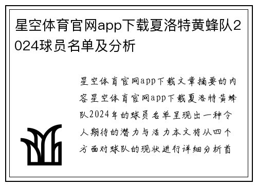 星空体育官网app下载夏洛特黄蜂队2024球员名单及分析